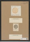 Coscinodiscus barbadensis Grev. (de-Toni-Nr.: Genus 202, Species 4952) Zeichnungen Sammlung Grunow Nr. 8547 (NHMW-BOT-W0378183)